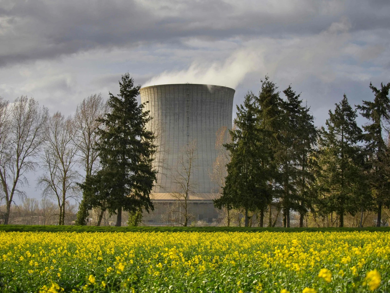 Jak działa elektrownia atomowa? Jak działa elektrownia atomowa?