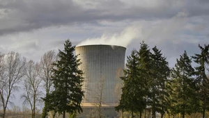 Czy elektrownia jądrowa jest ekologiczna? Fakty i mity