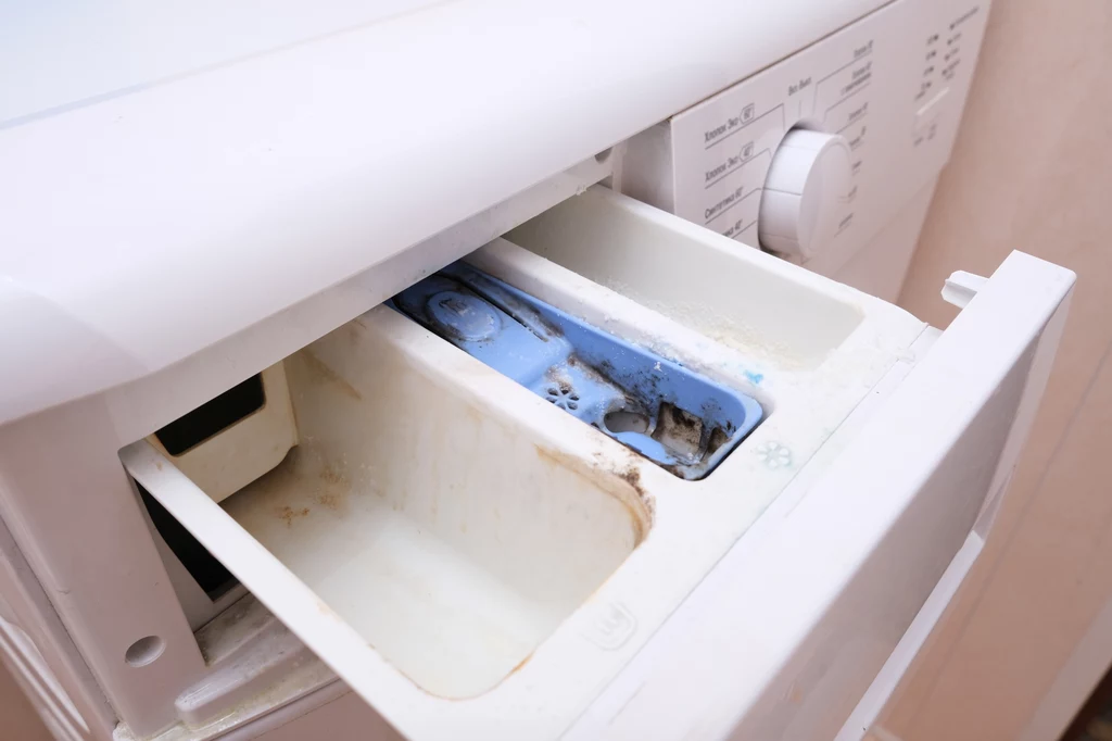 Istotne jest czyszczenie wnętrza pralki, uszczelek i szuflady na proszek