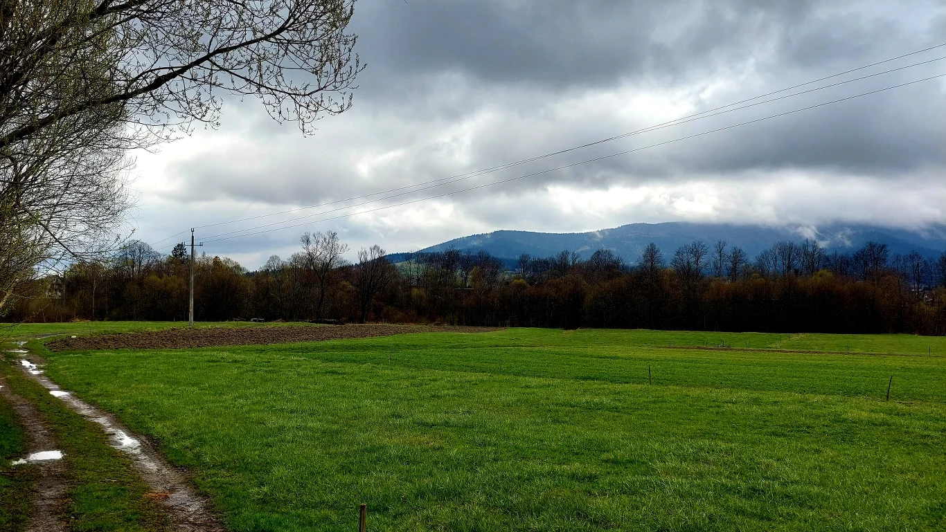 W okolicy Limanowej jest pełno lasów, jarów, bagien czy terenów górzystych. 
