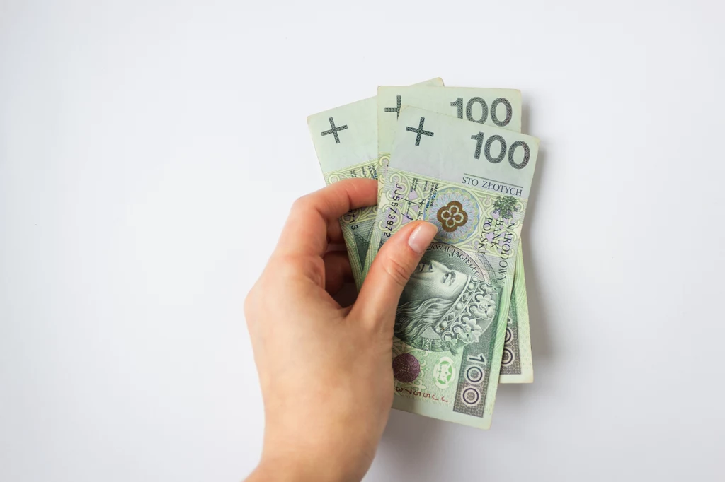 Opłata roczna BDO 2024. Do 29 lutego trzeba zapłacić 300 zł