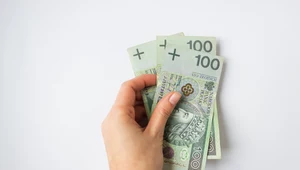 Opłata roczna BDO 2024. Do 29 lutego trzeba zapłacić 300 zł