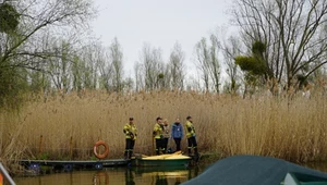 100 kg martwych ryb na Dolnym Śląsku. Czy historia z Odry się powtórzy?