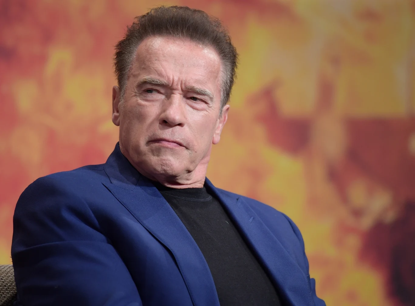 Arnold Schwarzenegger Arnold Schwarzenegger