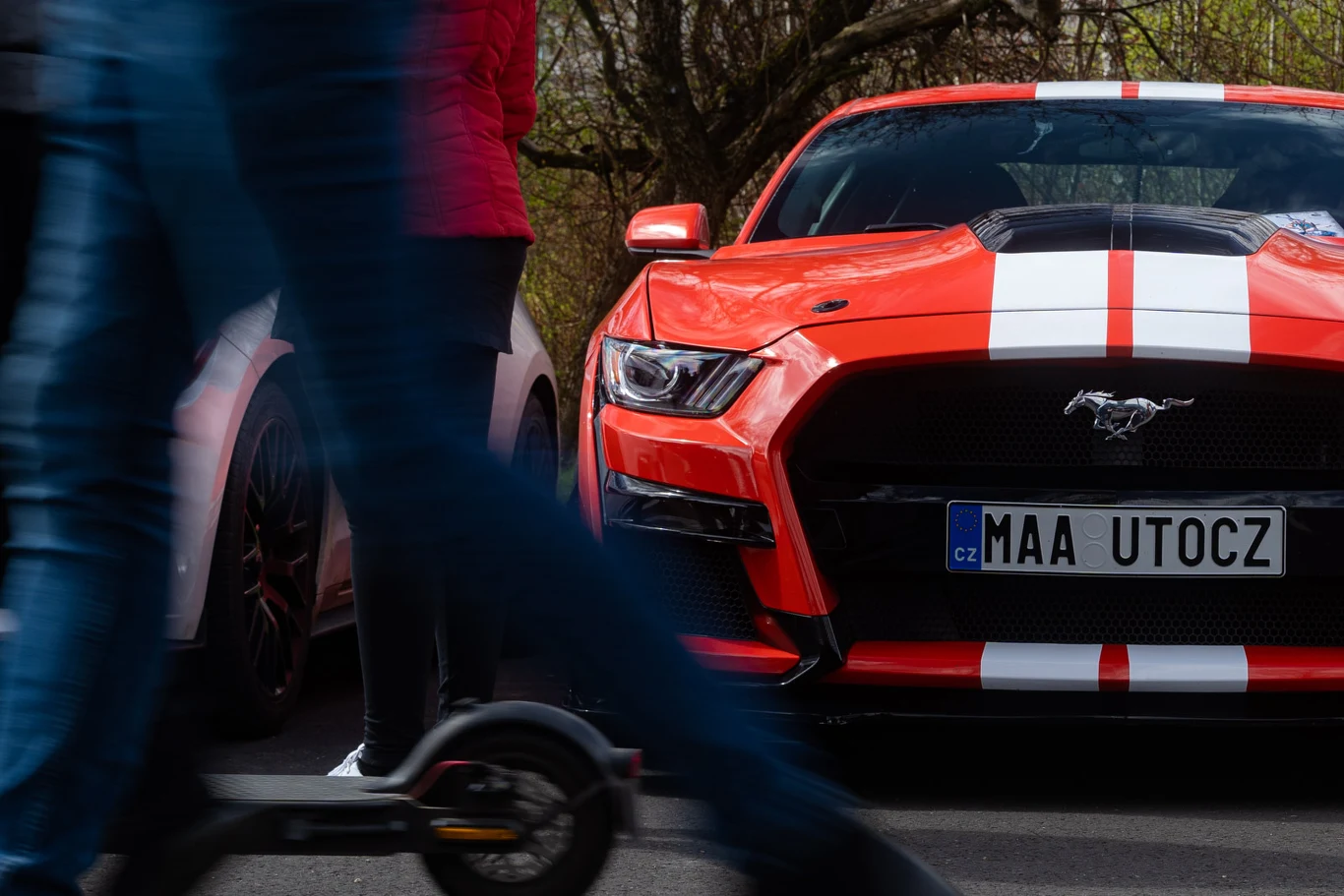 XV. Ogólnopolski Zlot Mustangów w Chorzowie