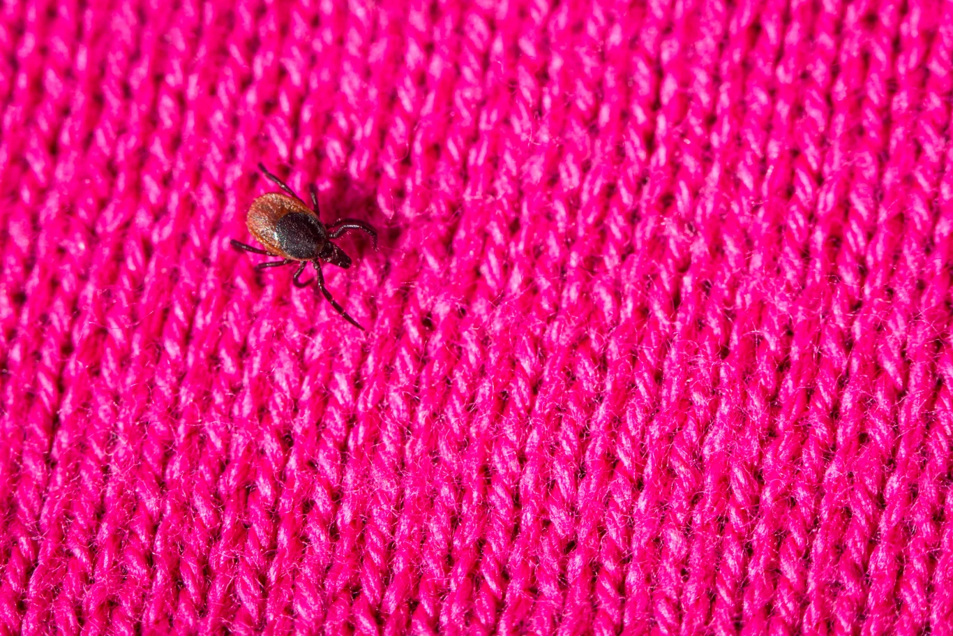 Naukowcy twierdzą, że kolor ubrań również ma znaczenie