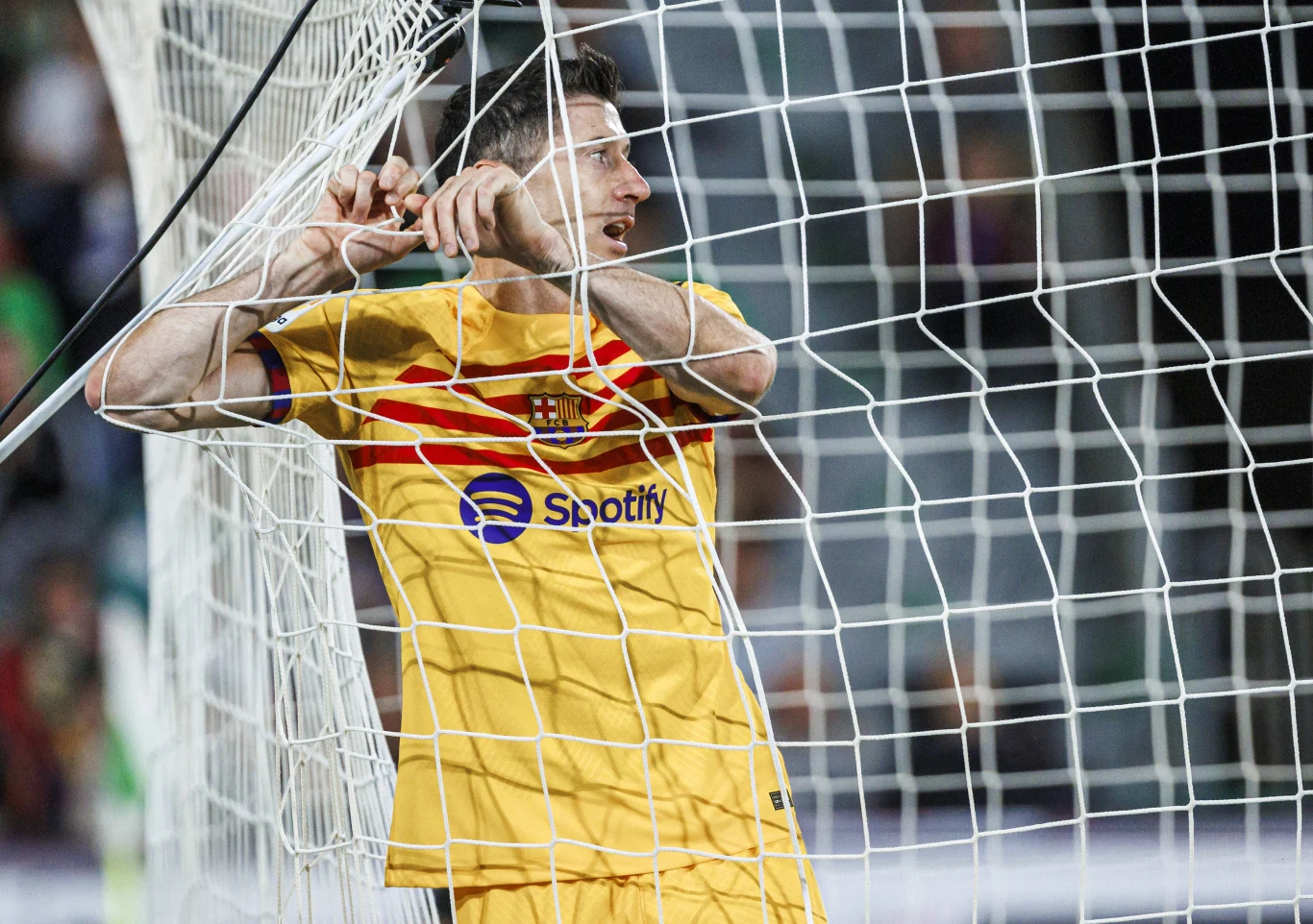 Robert Lewandowski Robert Lewandowski