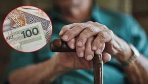 Senior stracił blisko 1,8 mln zł