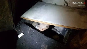 Poszukiwany 64-latek ukrywał się w kotłowni