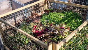 Kompostownik to źródło nawozu dla ogórków gruntowych