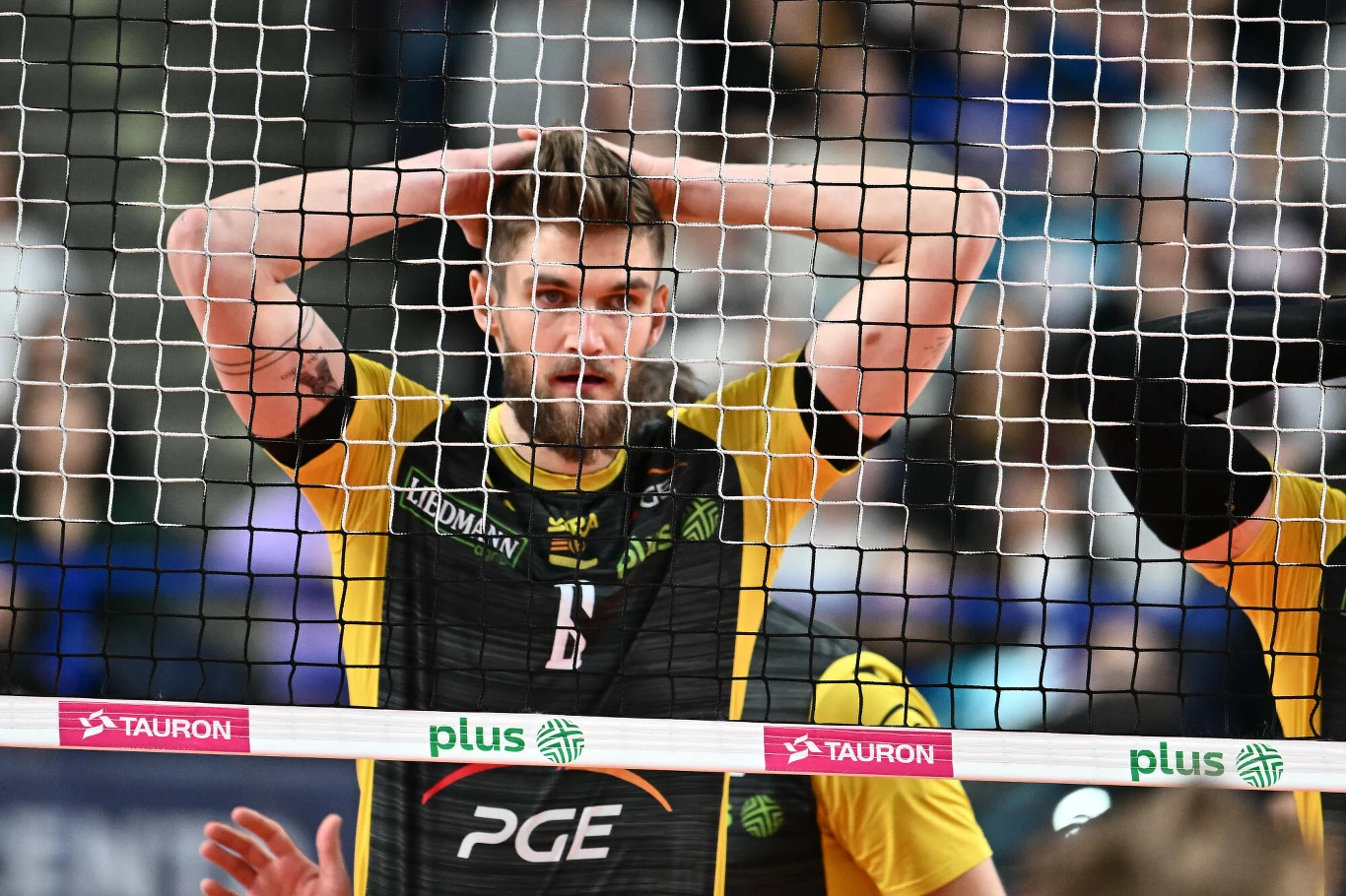 Karol Kłos przeniósł się przed sezonem z Bełchatowa do Rzeszowa