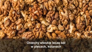 "Na zdrowie": Orzechy włoskie