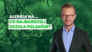 Epidemia alergii. Zanieczyszczenia i niska odporność grają tu znaczące role