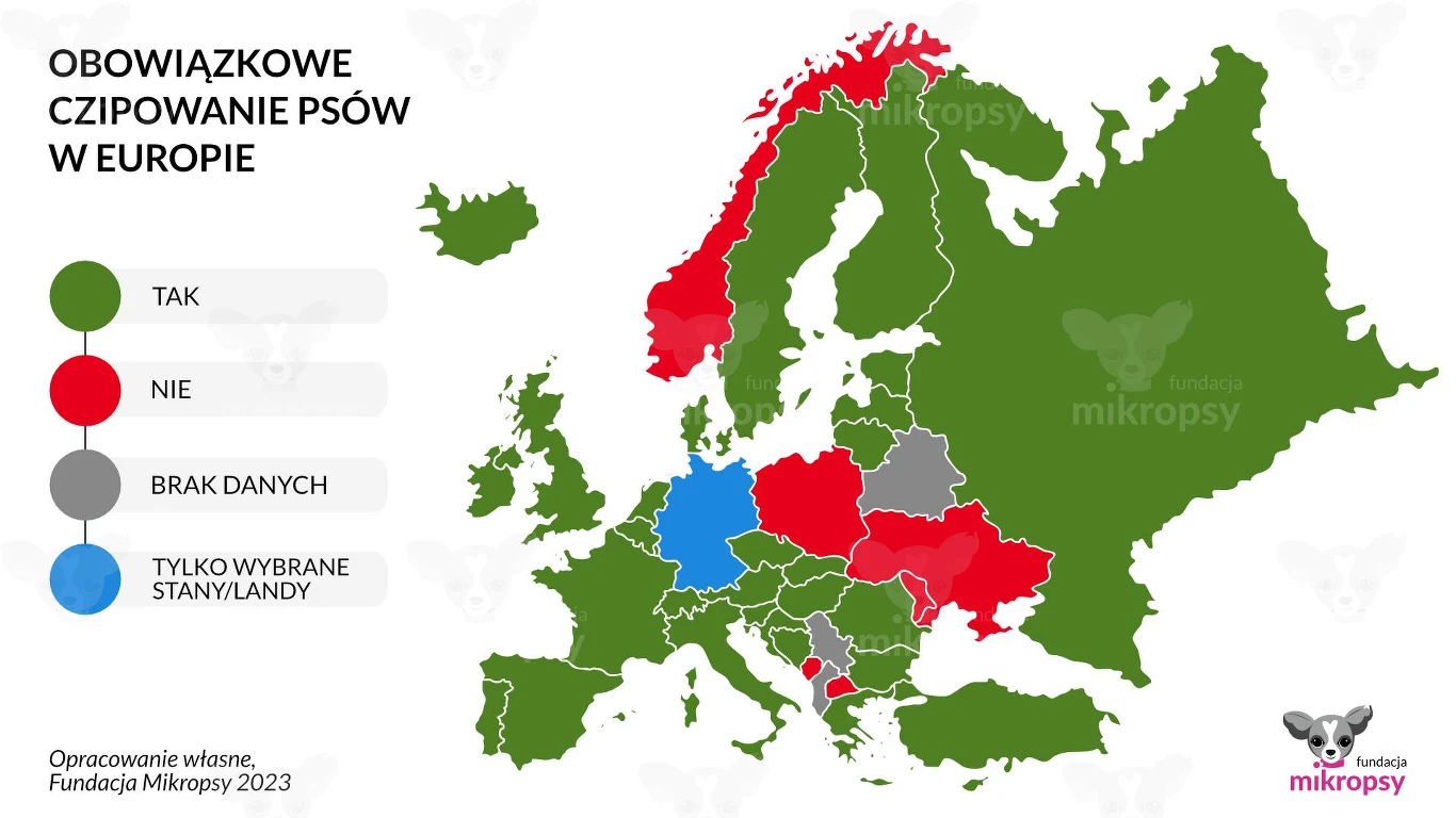 Obowiązkowe czipowanie psów w Europie. Polska znajduje się w niechlubnej mniejszości. 