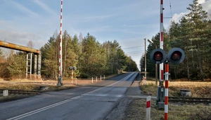 Czerwone światło gaśnie dopiero wtedy, gdy rogatki zatrzymają się w pozycji pionowej. Wcześniejszy wjazd na przejazd oznacza mandat w wysokości 2 tys. zł