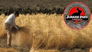 Króliki-mutanty rujnują uprawy w Hiszpanii. "Chodzą nawet po drzewach"