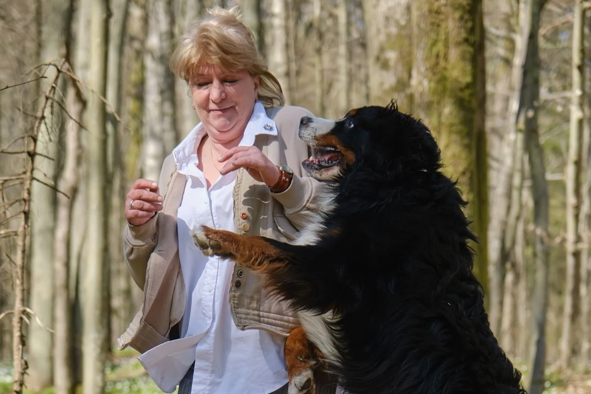 Nasze nieprzemyślane zachowanie w stosunku do psa, może rodzić problemy i ewentualny atak ze strony psa