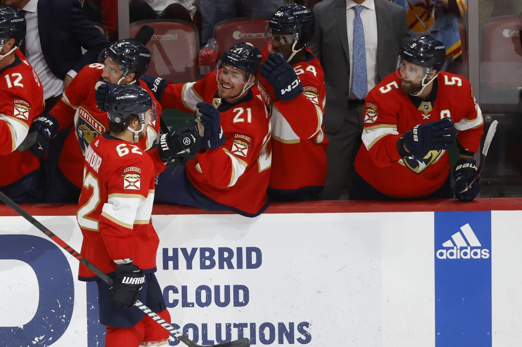 Brandon Montour z Florida Panthers Brandon Montour z Florida Panthers