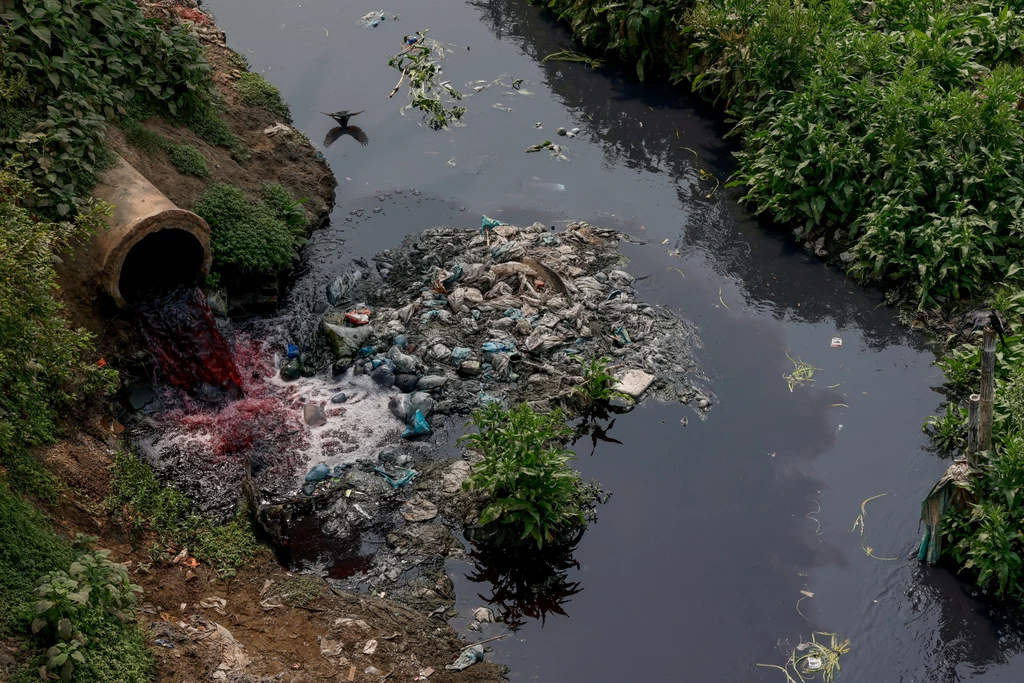Zanieczyszczona barwnikiem tekstylnym woda płynie dalej przez rzeki Labandha, Turag i Buriganga. Następnie trafia w okolice pola ryżowego na północ od Dhaki, 2 marca 2023 roku