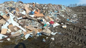 Ogromne wysypisko nielegalnych śmieci w Łodzi