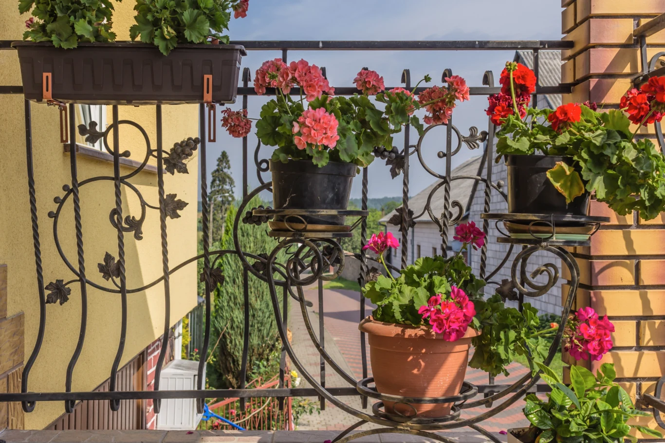 Kwiaty na balkon. Jakie wybrać? Kwiaty na balkon. Jakie wybrać?