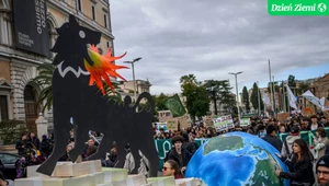 "Planeta, nie zyski". Młodzi ludzie protestują dziś na całym świecie