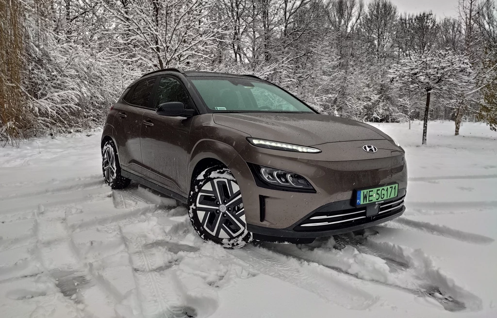 Hyundai Kona Electric