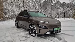 Hyundai Kona Electric. Sprytne auto z zaskakująco dużym zasięgiem