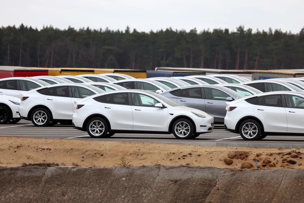 Tesla Model Y jest najlepiej sprzedającym się samochodem w Europie