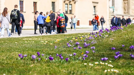 Po ciepłej i słonecznej sobocie nadejdzie ochłodzenie