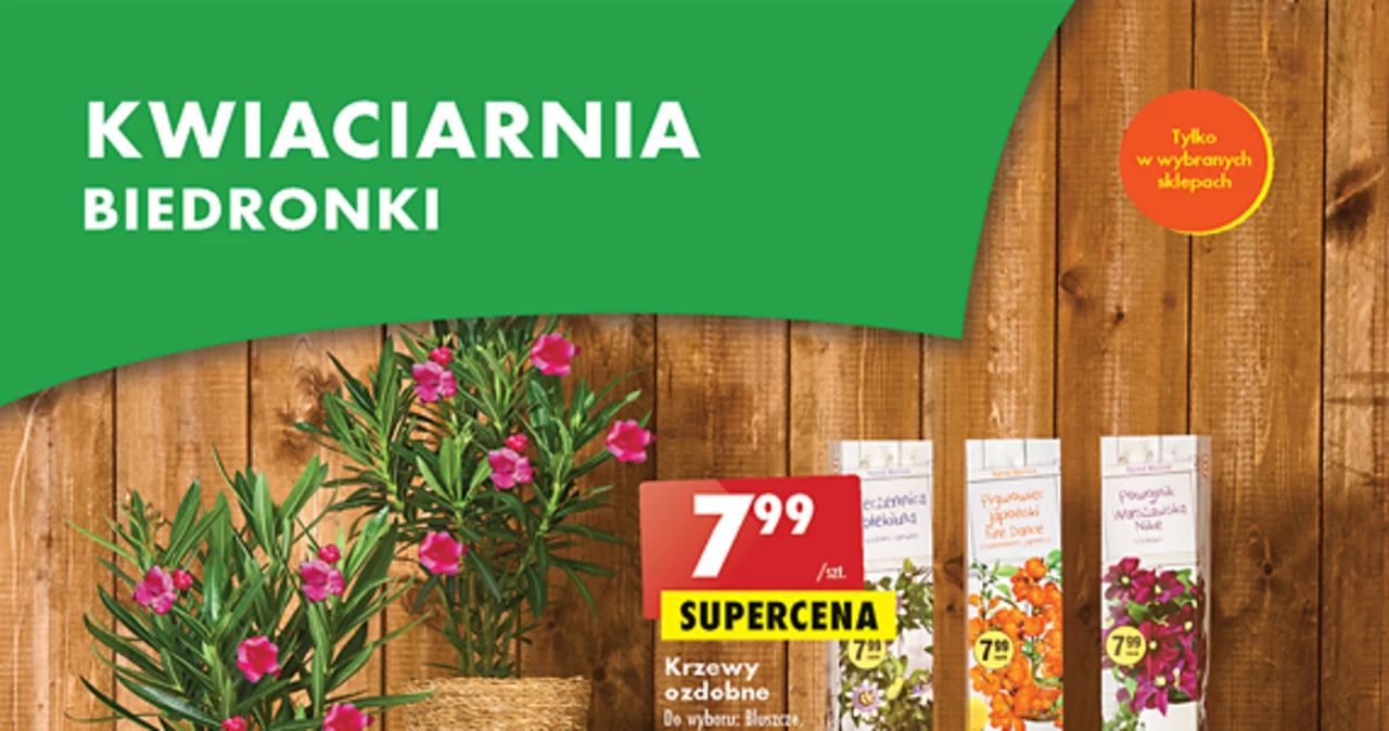 Biedronka Gazetka Promocyjna Oferty Rabaty Kupony Do