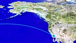 Fanka Pikmin Bloom przeszła grę w trakcie lotu przez ocean