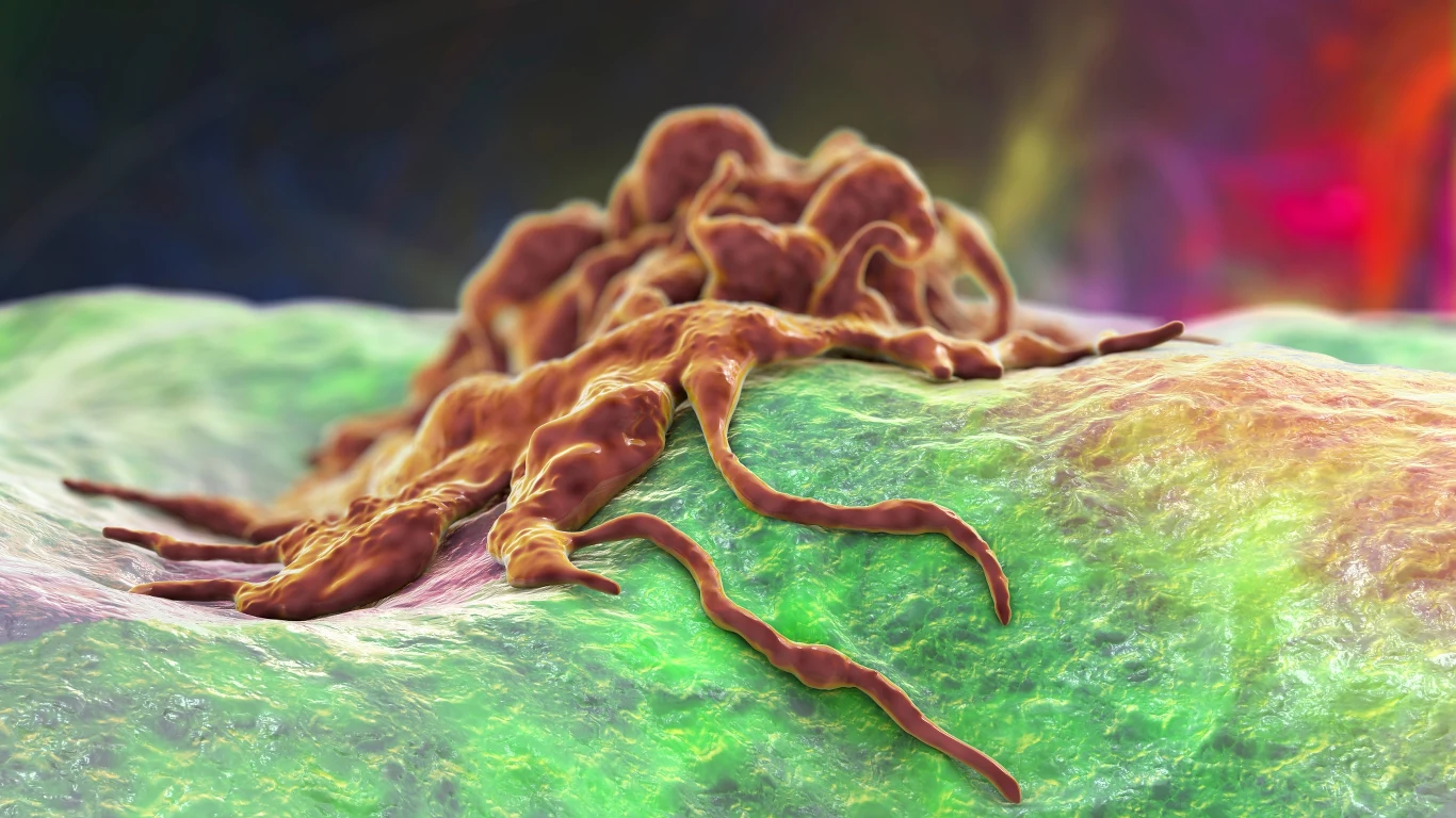 Jedną z ważniejszych cech nowotworów złośliwych jest zdolność do niekontrolowanych i często bardzo szybkich podziałów