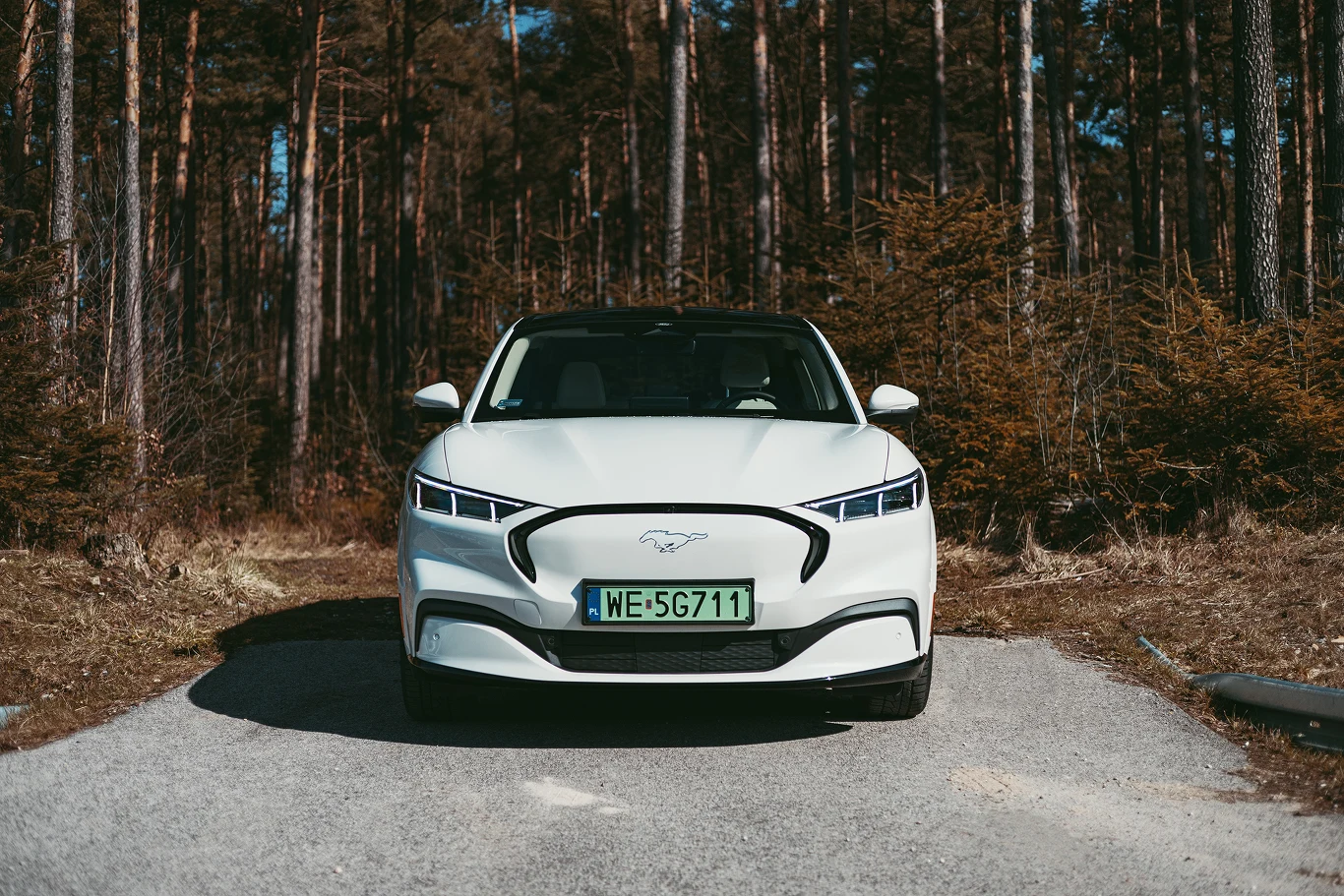 Ford Mustang Mach-E Frost White