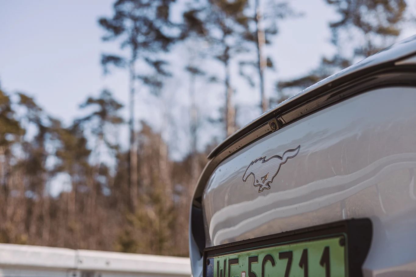 Ford Mustang Mach-E Frost White