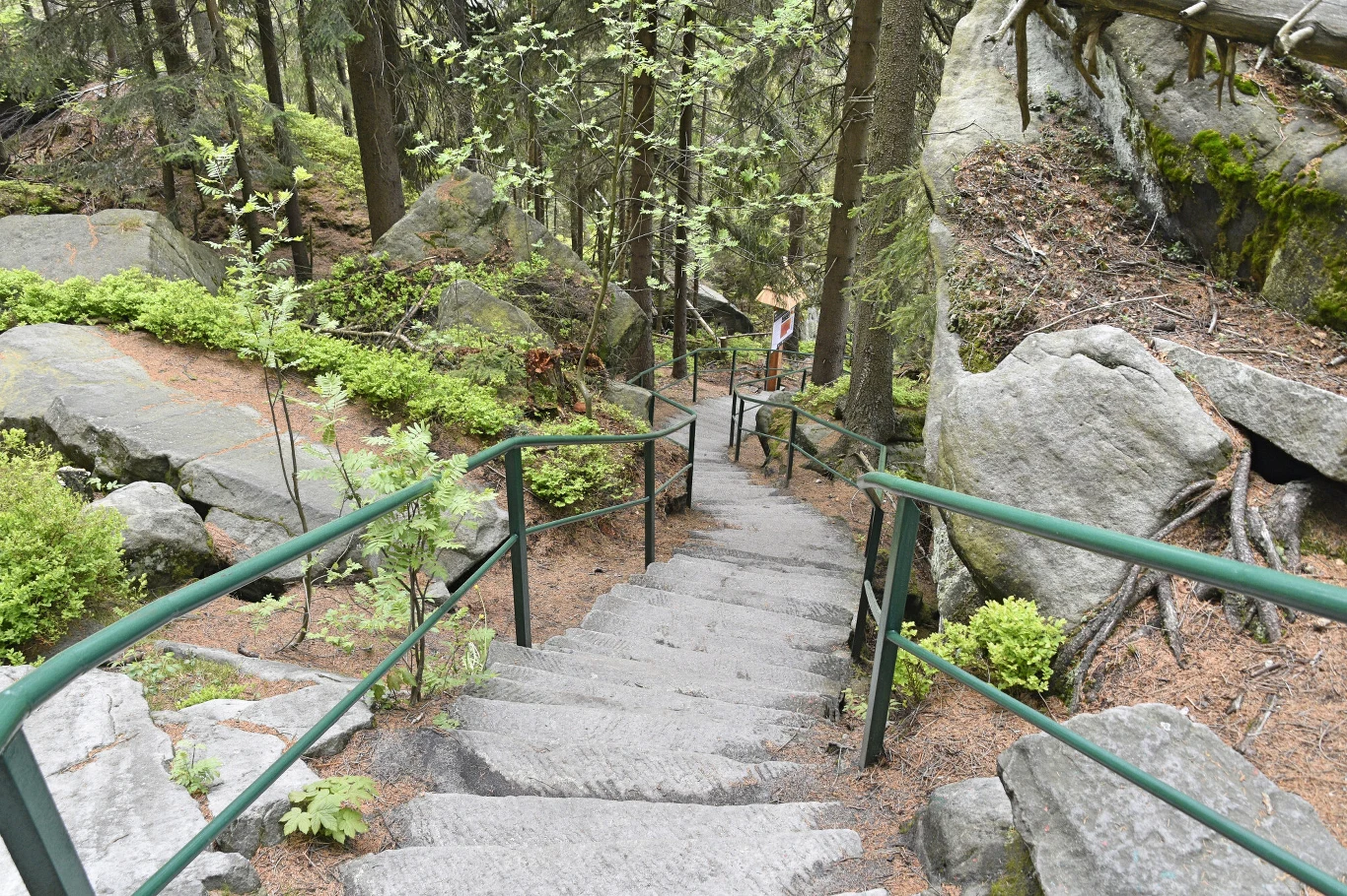 Na szczyt Szczelińca Wielkiego prowadzi ponad 600 schodów