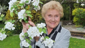 Teresa Lipowska