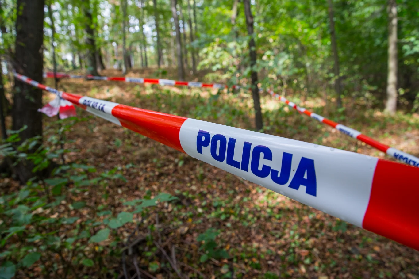 Na miejscu pojawiła się policja/Zdj. ilustracyjne Na miejscu pojawiła się policja/Zdj. ilustracyjne