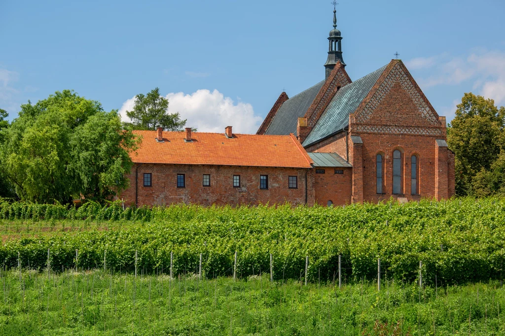 Sandomierz i jego okolice warto odwiedzić podczas długiego weekendu majowego.