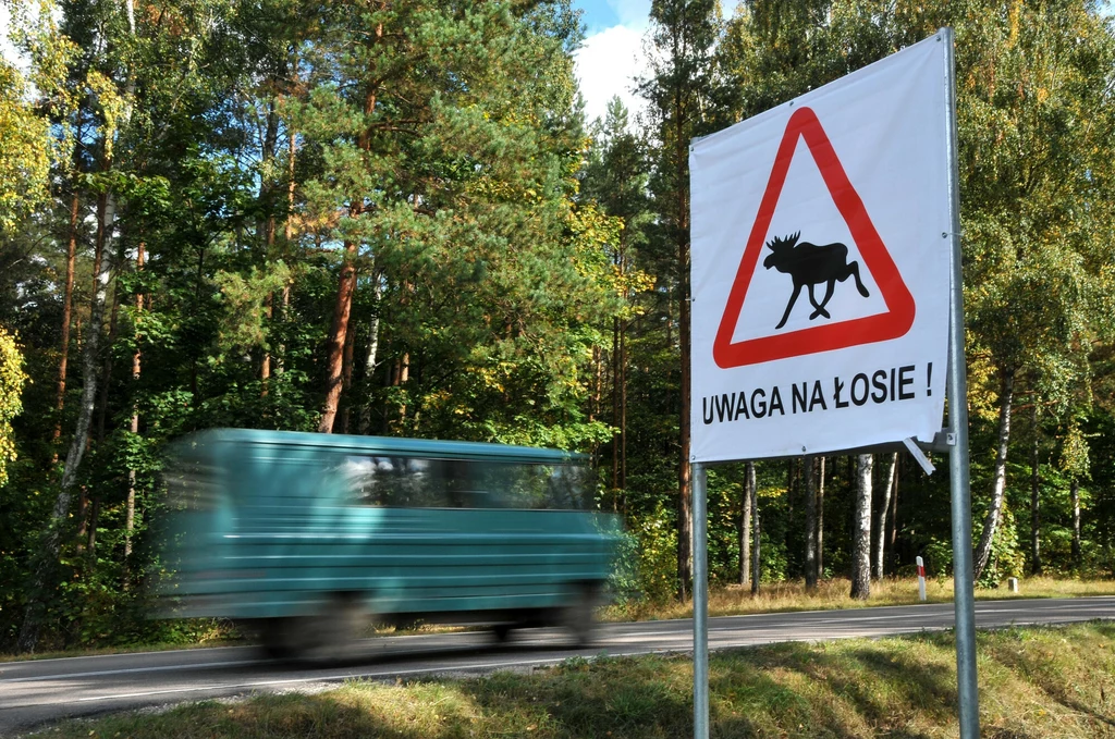 Znak ostrzegawczy na trasie drogi nr 16 