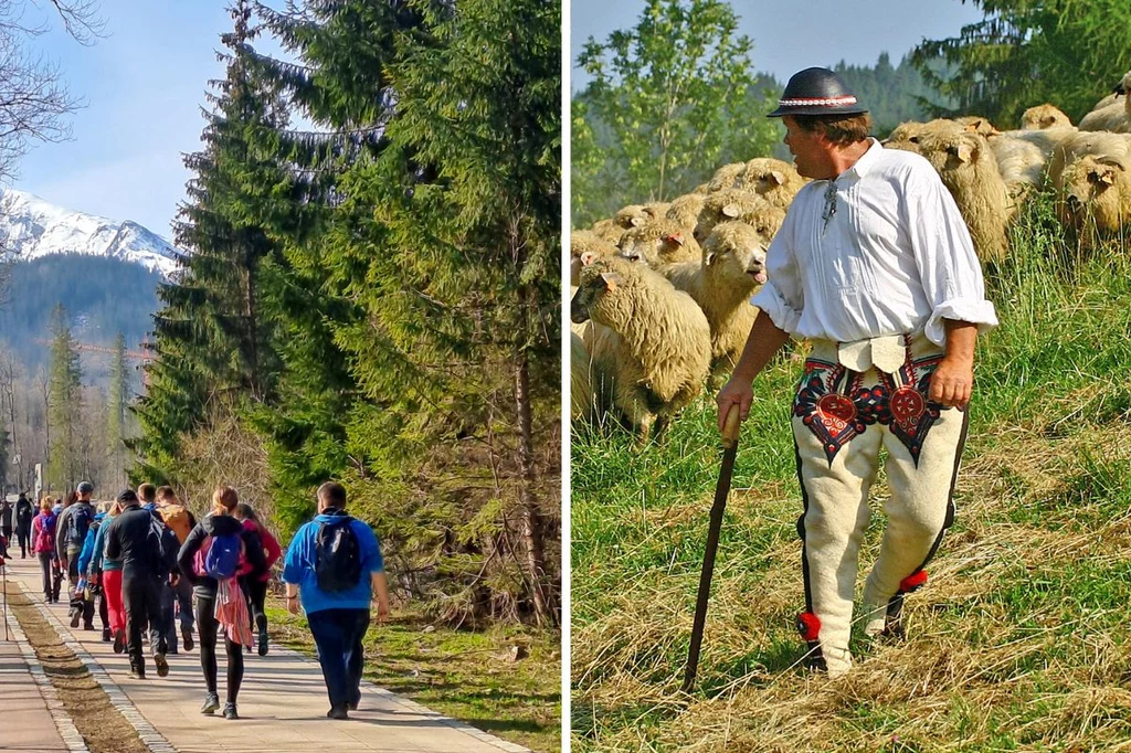 Atrakcji w Zakopanem nie zabraknie