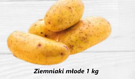 Ziemniaki