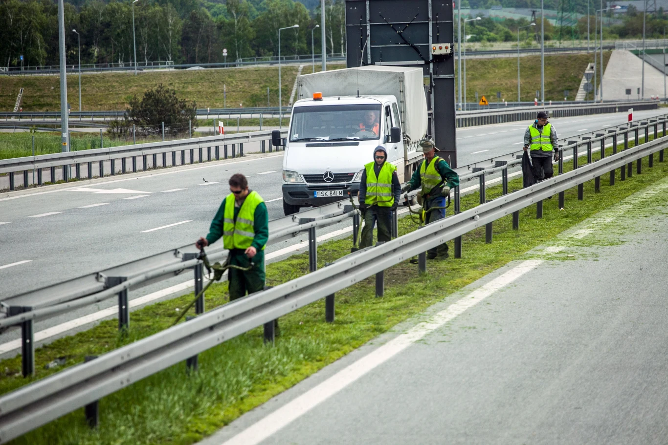 Zdaniem eksperta koszenie trawy w kwietniu nie powinno mieć miejsca. Wpływa to negatywnie na bioróżnorodność