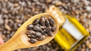 Olejek rycynowy jest wszechstronny. Pij go na trawienie i zaparcia. Smaruj skórę i włosy, by je upiększyć i wzmocnić