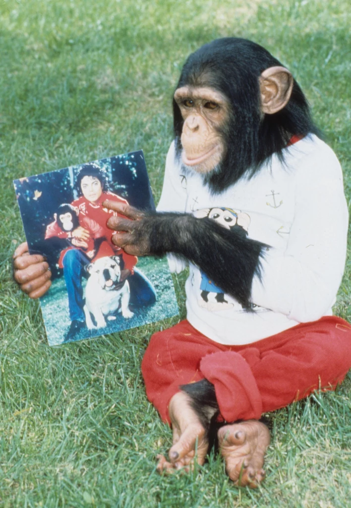 Bubbles na zdjęciu z końca lat 80.