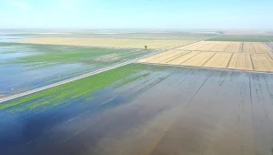 Rolnicy alarmują. Nagła odwilż zalewa pola. "Sytuacja jest dramatyczna"