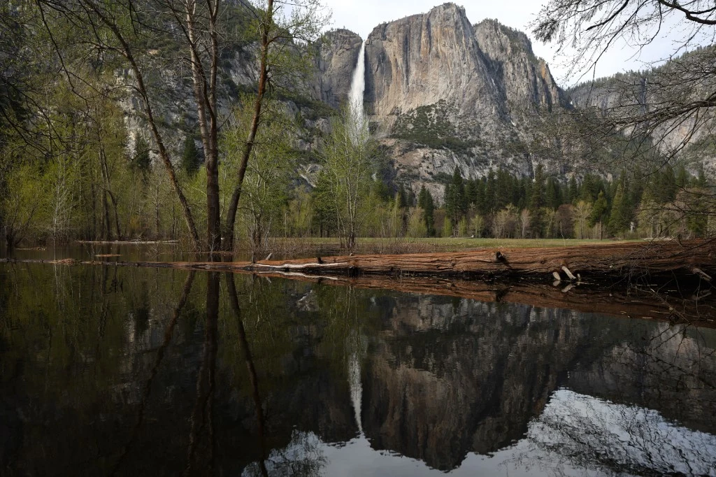 Kontrowersyjny plan w Yosemite. Prywatny deweloper chce dostępu do parku Skały i wąski wodospad w Parku Narodowym Yosemite, otoczone lasem, z odbiciem w spokojnej wodzie.