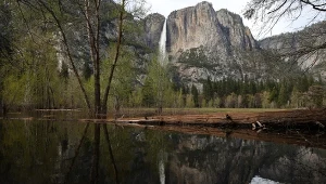 Kontrowersyjny plan w Yosemite. Prywatny deweloper chce dostępu do parku