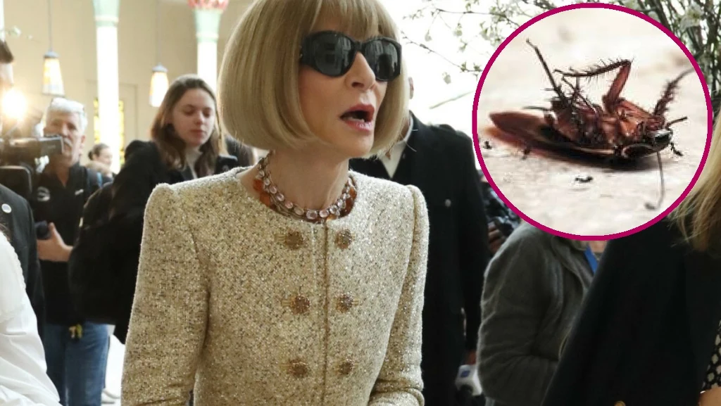 Anna Wintour, redaktor naczelna amerykańskiego Vogue'a. Anna Wintour, redaktor naczelna amerykańskiego Vogue'a.