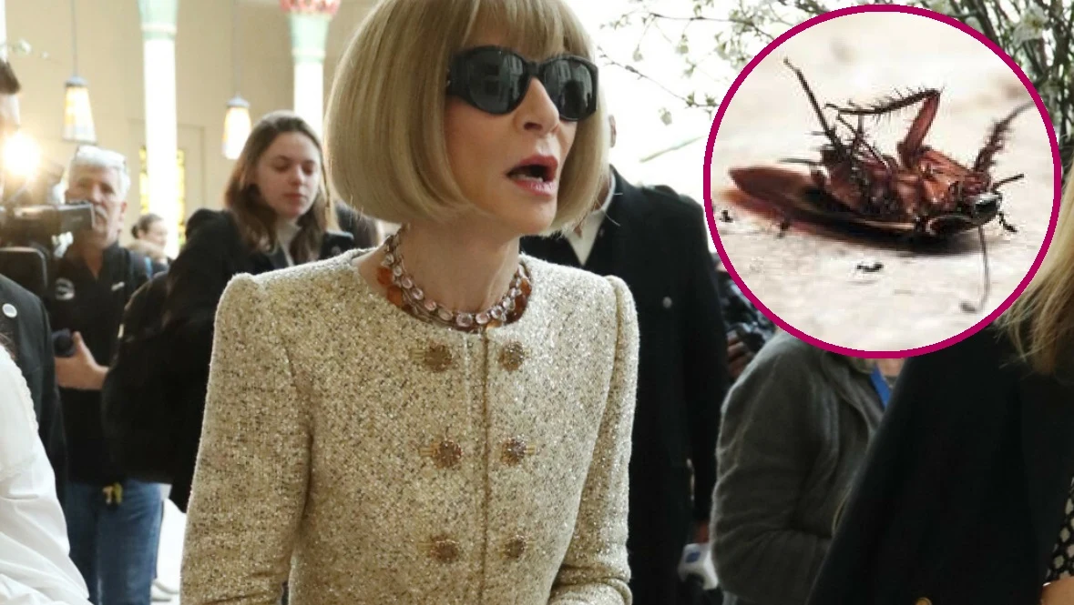 Anna Wintour, redaktor naczelna amerykańskiego Vogue'a. Anna Wintour, redaktor naczelna amerykańskiego Vogue'a.